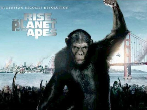 rise of apes