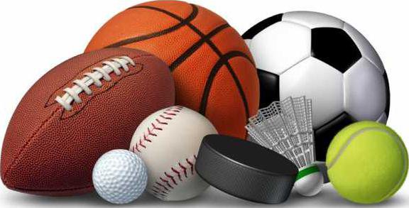 sports equipment-745x396