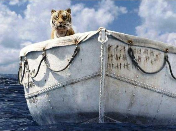 Life-of-Pi1