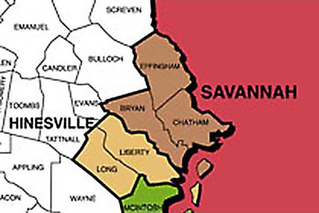 savannah MSA