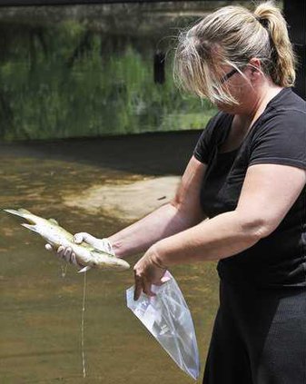 FISH KILL