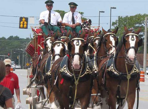 horseyparade