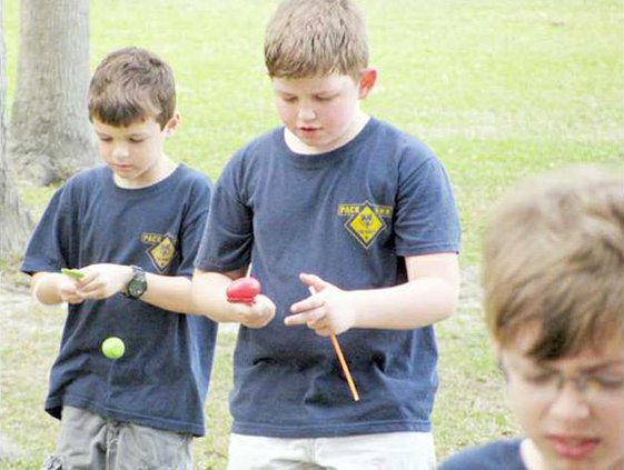 cub scouts 2