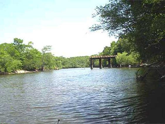 ogeechee
