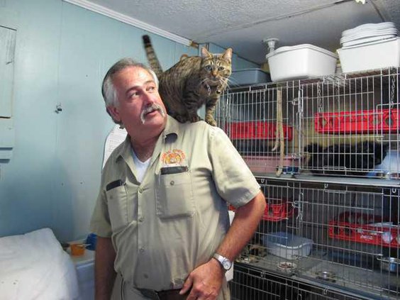 AnimalShelter1