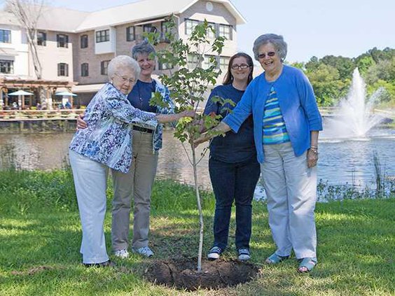 ArborDay1