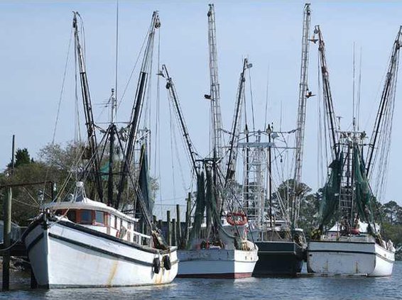 Fishing boats