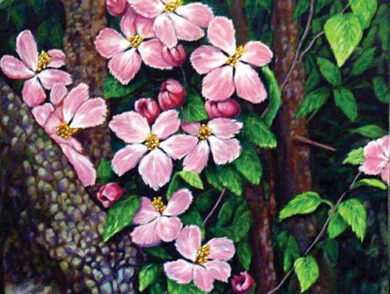 dogwoods