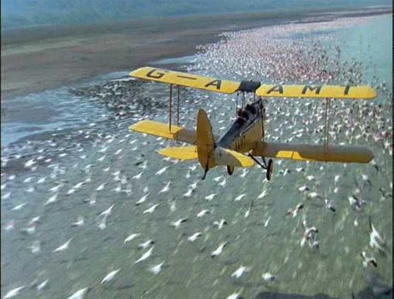 outafricaplane