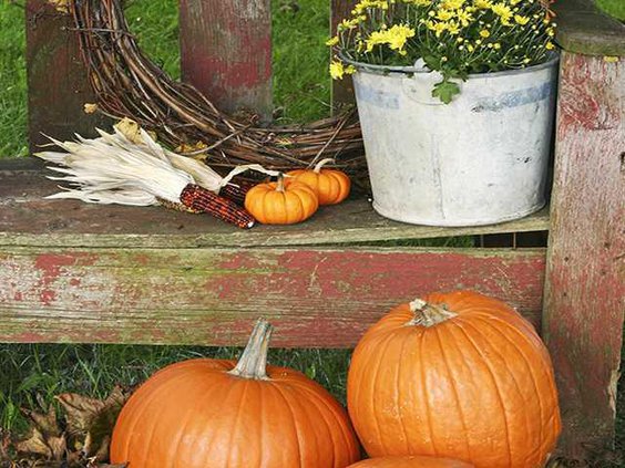 fall garden