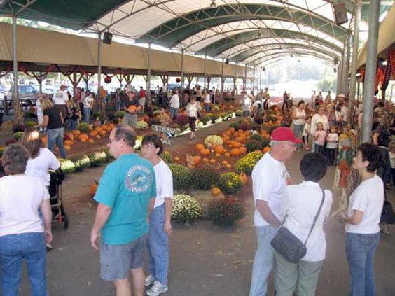 inside-PumpkinPatch