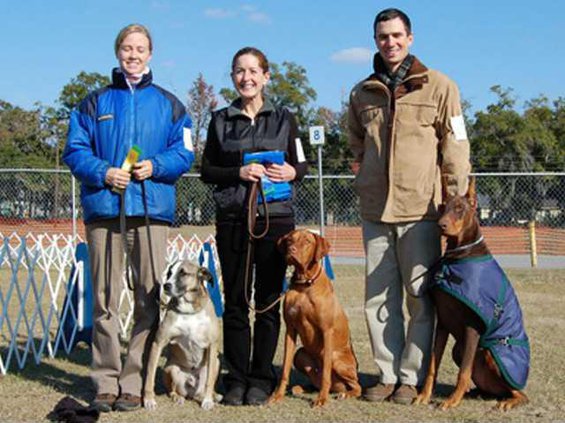 living-DogShow