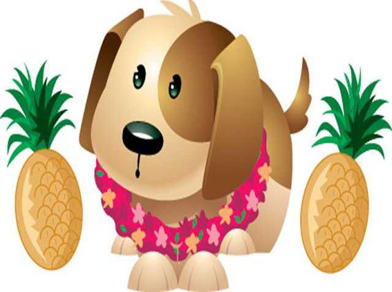 luauyappy