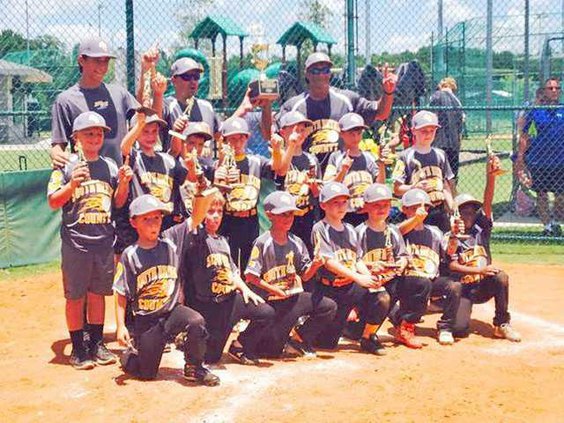 sports - 8U district champs