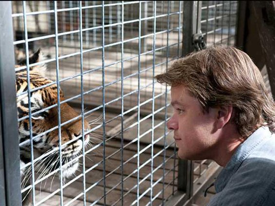 we bought zoo