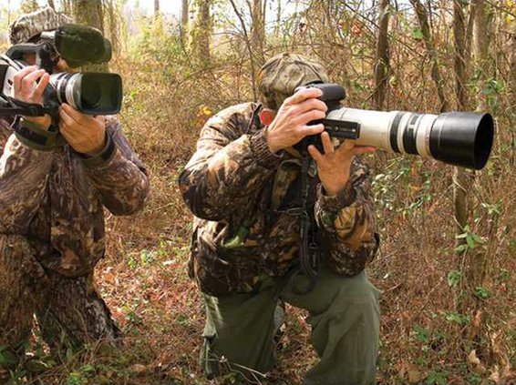 wildlife photo