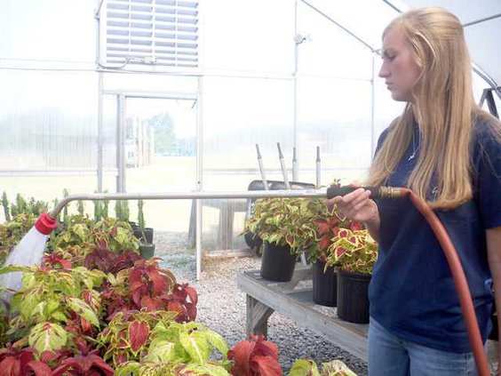 PlantSale2
