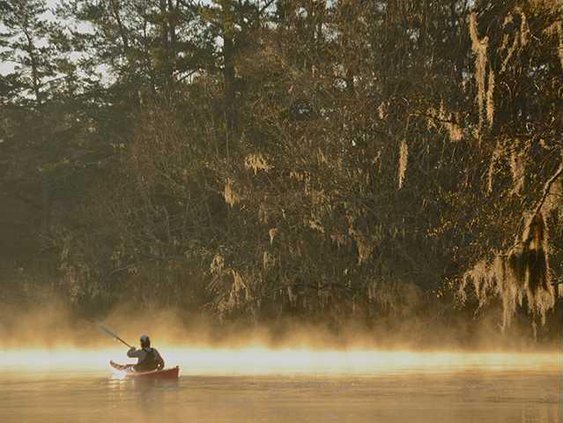 kayak