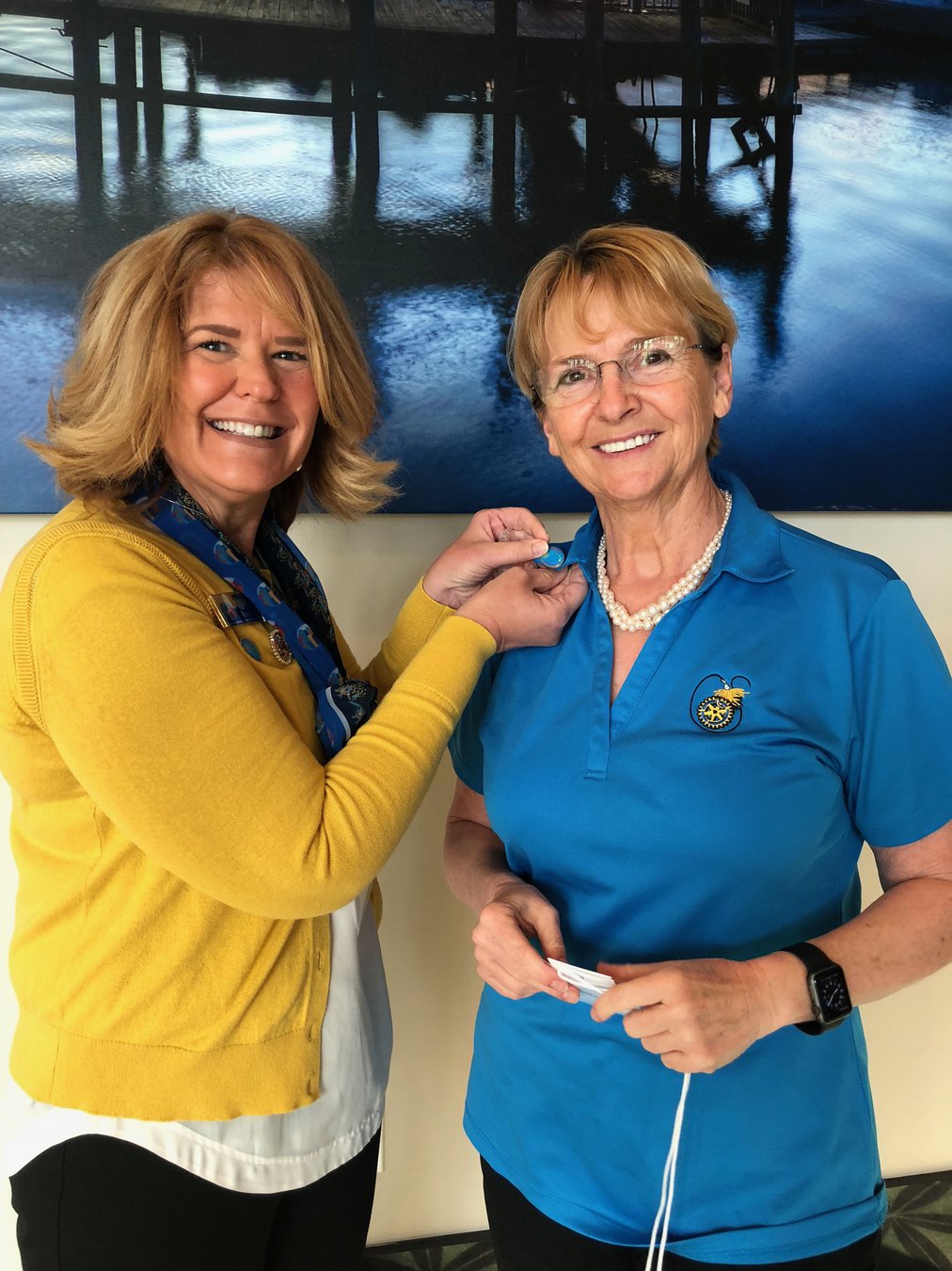 Hinesville Rotary reviews successful year Coastal Courier