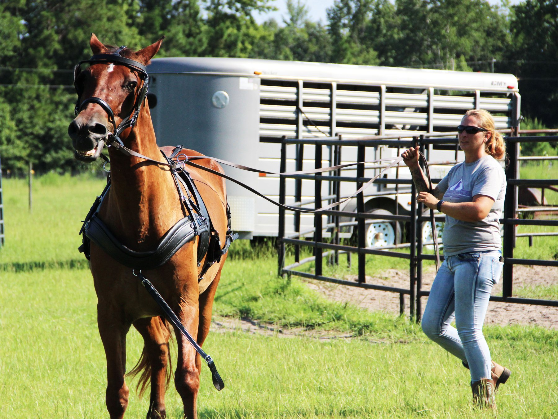 Happiness comes in large packages at Second Chances Equine Rescue