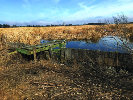 Altamaha WMA Champney Unit structure before-cmyk.jpg