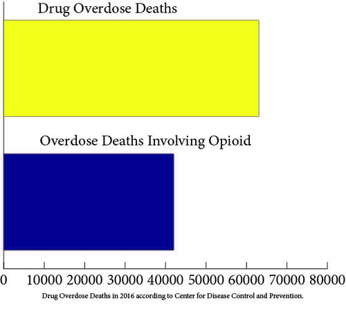 Opioid Crisis Graph.jpg