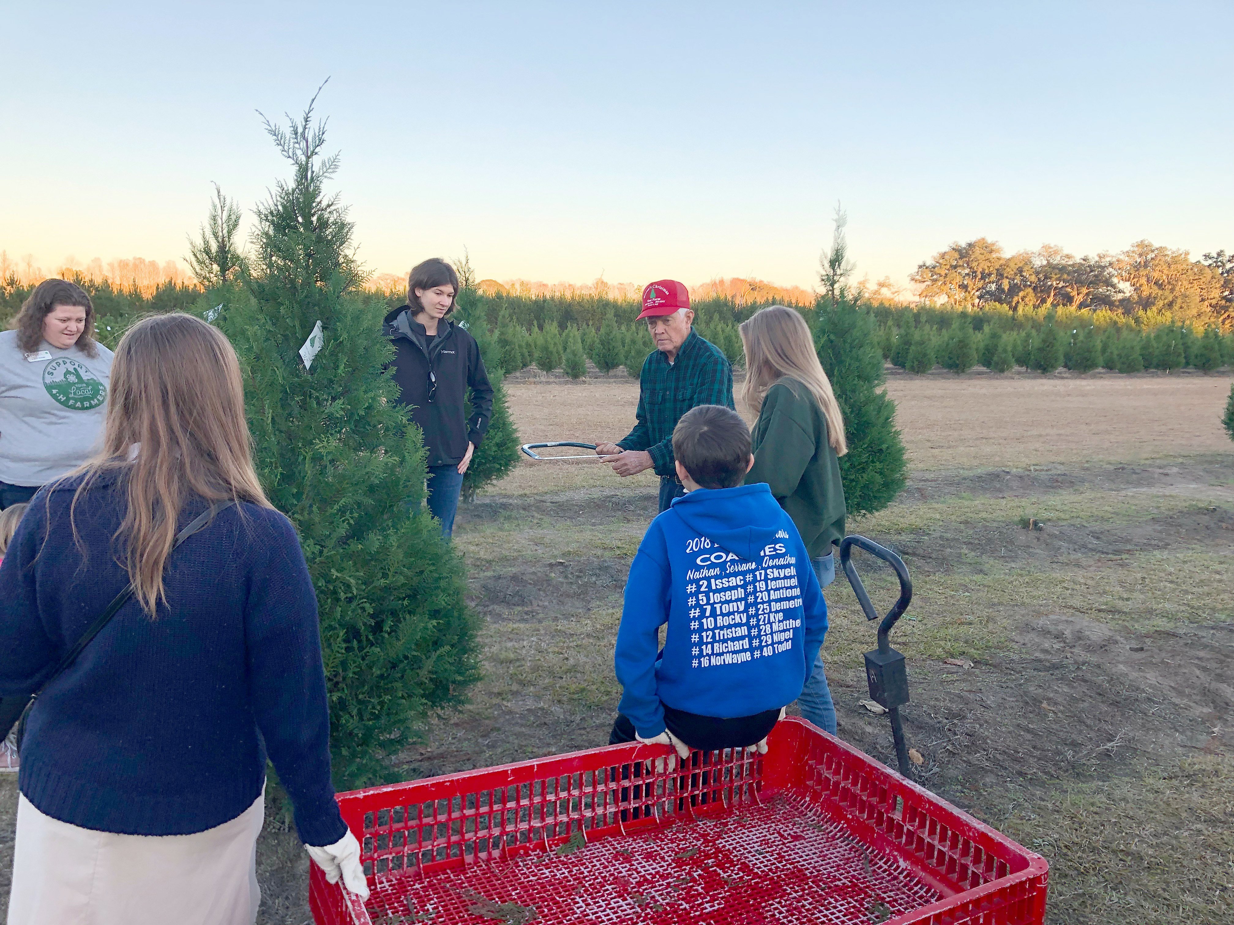 4 Hers Learn Christmas Tree Lessons At Brewer S Coastal Courier