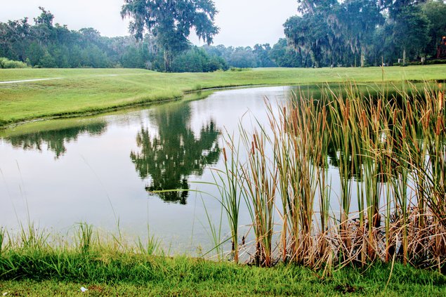 sapelo golf 1