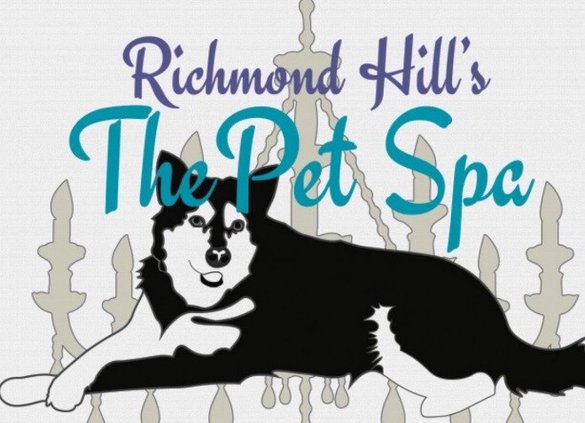 Pet Spa