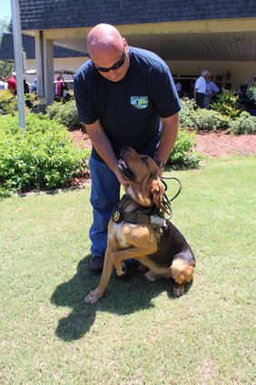 K-9