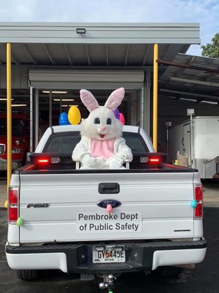 Easter Bunny 1 Peter Waters.jpg