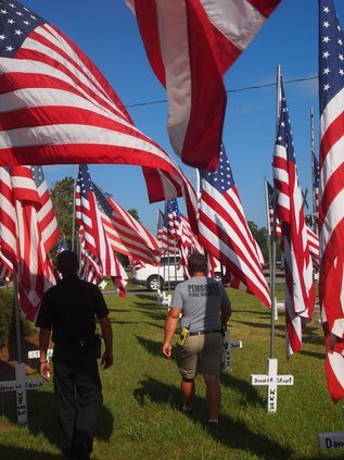 flags1.jpg