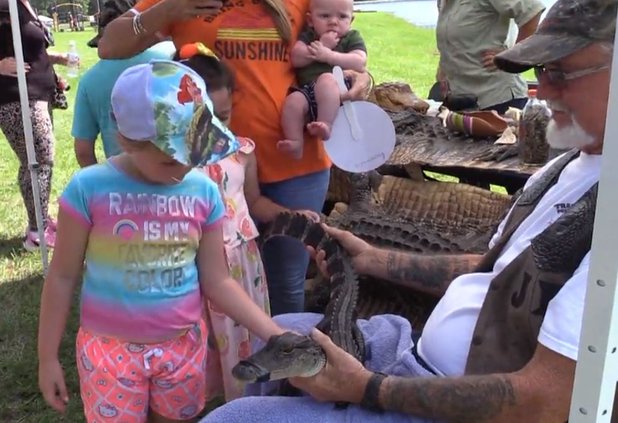 petting baby gator