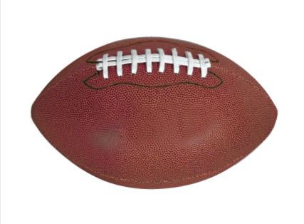 Pmfl Grumblings Over Gamecocks And Ted O Neal Runs Amok Bryan County News