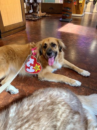 Daisy Mae