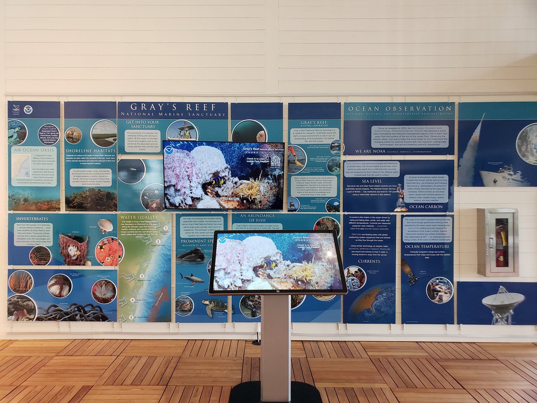 Tybee Island Marine Science Center offers unique exhibits Coastal Courier