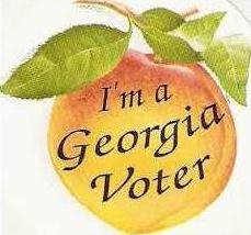georgia voter