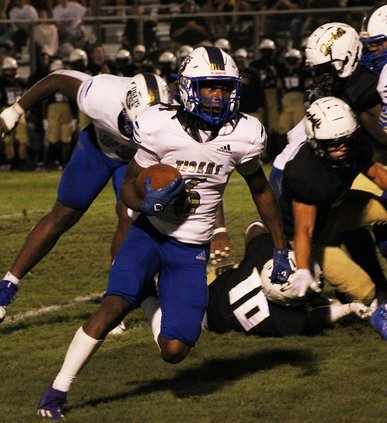 Wayne County-Bradwell Institute