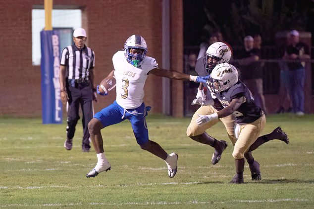 Wayne County-Bradwell Institute