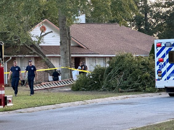 tree falls, strikes man