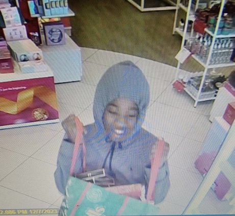 shoplifting suspect 1