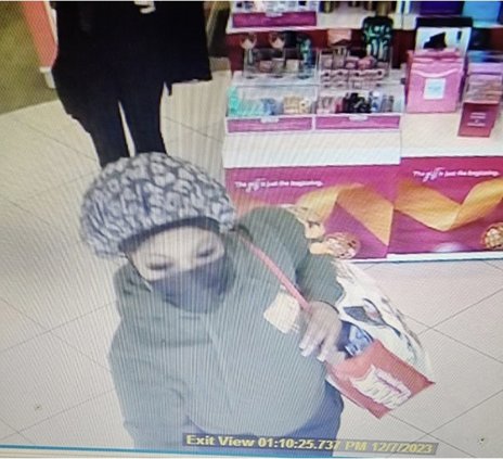 shoplifting suspect 3