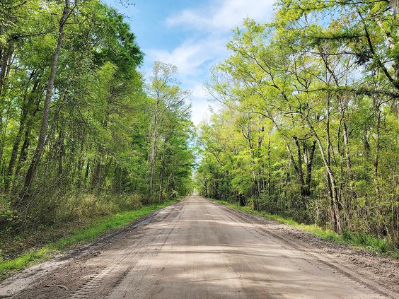 Barrington Ferry Road goes from hardtop to dirt and goes from Liberty into McIntosh County.