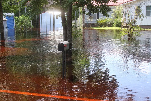 Flood waters receding from Debby-induced rain