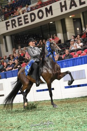 Equestrian Egner wins world championship