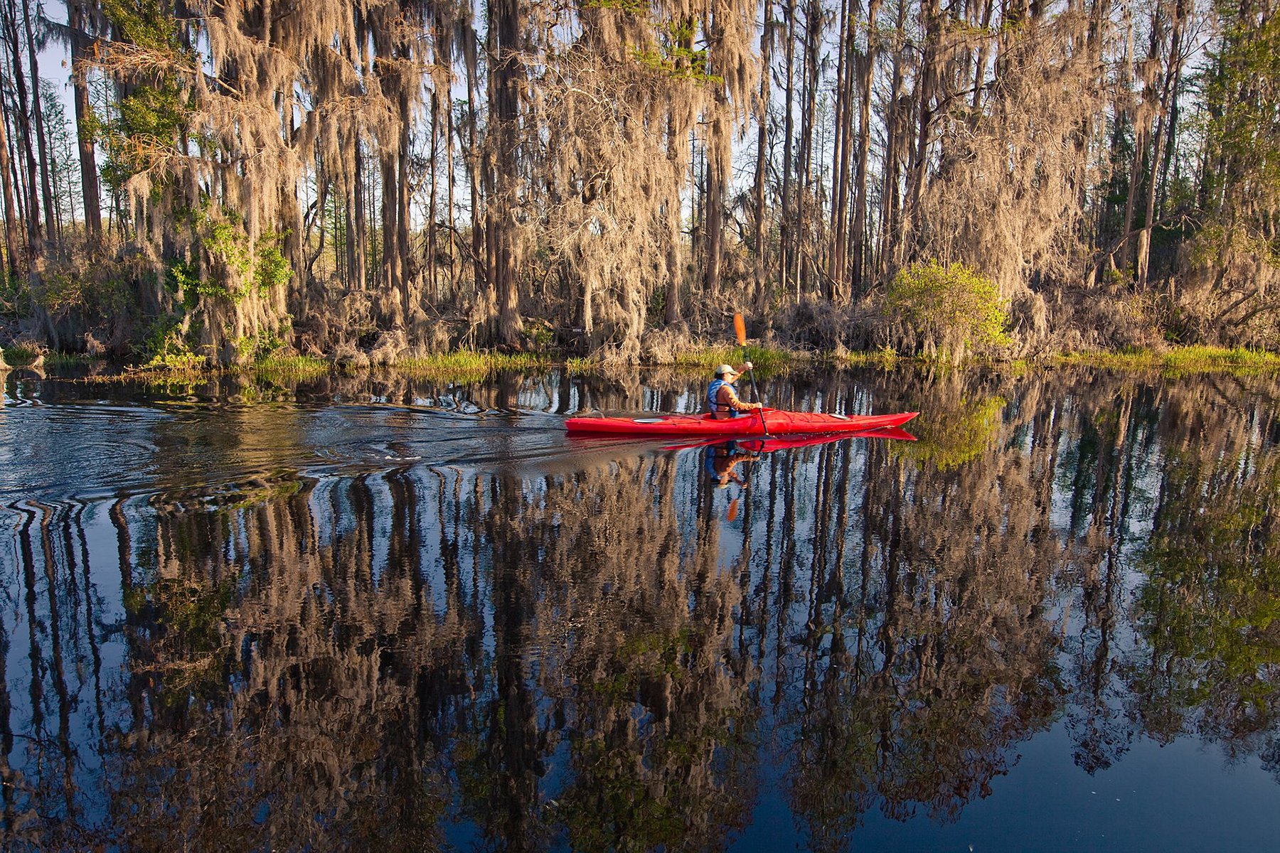 Purchase of mining company’s land hailed as preventing Okefenokee threat