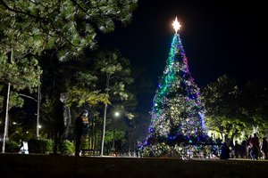 FTS tree lighting 1.jpg