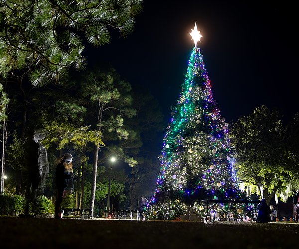 FTS tree lighting 1.jpg