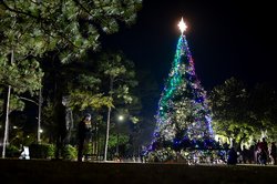 FTS tree lighting 1.jpg