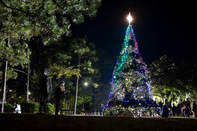 FTS tree lighting 1.jpg